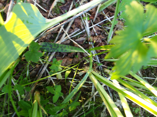 P6210165957aff7ac842a6ca.jpg