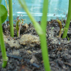 P1410844815f380437b04ba2