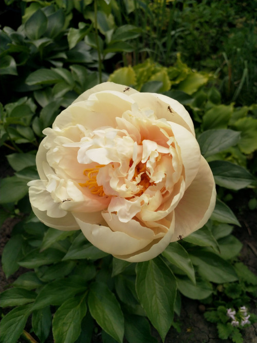 IMG 20220606 142957