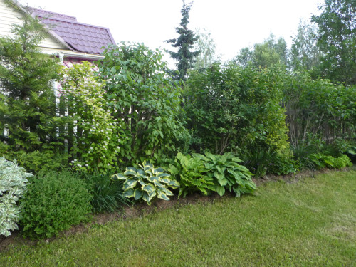 кулиса1