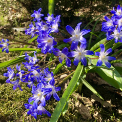 469102A1-0871-42B2-9440-BAC947D40B572d80955bbf7c7352