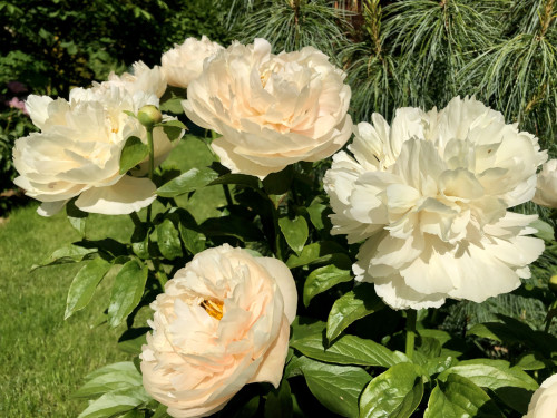 D9B8F6B1-A2F0-474D-BB87-DDB8D27C77260055d8e6370a2309.jpg