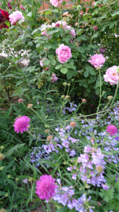 DSC00890