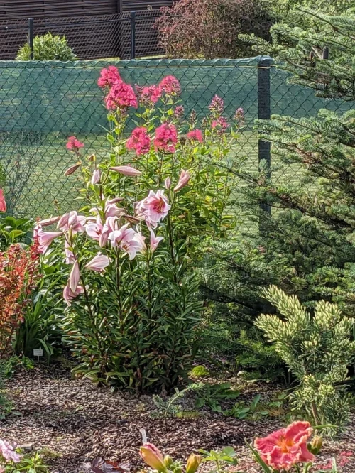 2023-07-23-17-09-49e5c97dce5b477a2c.webp