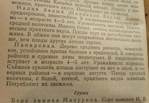 Папировка 1946